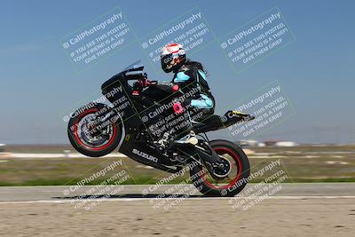 media/Mar-24-2025-2WTD (Mon) [[55b4b08488]]/B Group/1220pm (Wheelie Bump)/